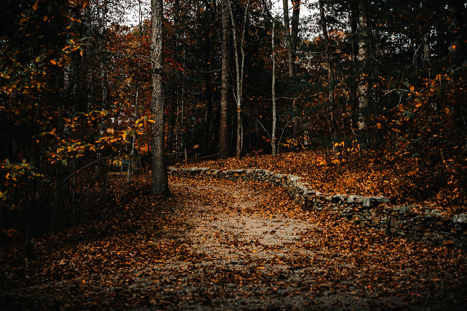 A winding forest path covered in fallen autumn leaves, surrounded by trees with a stone wall on one side.